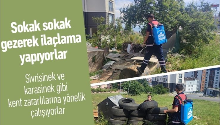 Sokak sokak gezerek ilaçlama yapıyorlar