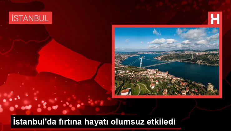 İstanbul’da Fırtına: Ağaçlar Devrildi, Çatılar Uçtu