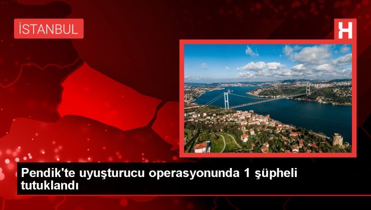 Pendik’te Uyuşturucu Operasyonunda 1 Kişi Tutuklandı