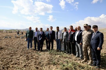 Bitlis Valisi Ahmet Karakaya, Ahlat ilçesinde patates hasadına katıldı