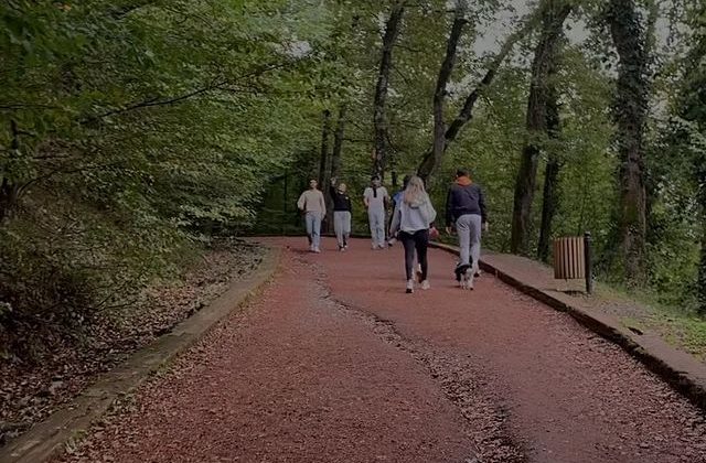 Çağdaş Gençlik Ataşehir Şubesi Belgrad Ormanı’nda Piknik Etkinliği Düzenledi