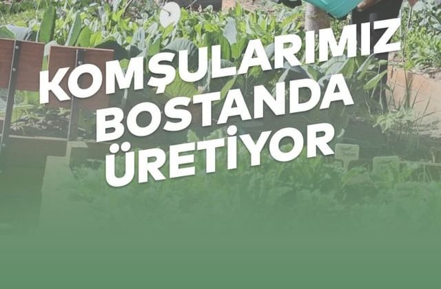 Kent Bostanı: Komşuların Birlikte Üreterek Dayanışma ve İş Birliği İçinde Olduğu Bir Alan