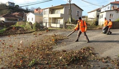 Şile Belediyesi Yol Bakım, Budama ve Temizlik Çalışmalarını Sürdürüyor