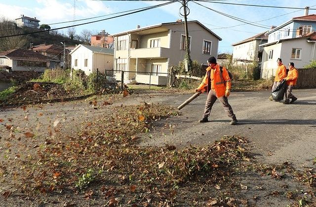 Şile Belediyesi Yol Bakım, Budama ve Temizlik Çalışmalarını Sürdürüyor