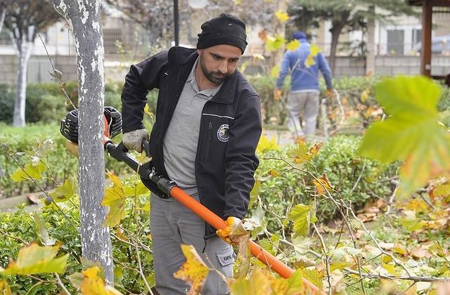 İstanbul Kartal’da Ağaç Budama Çalışmaları Devam Ediyor