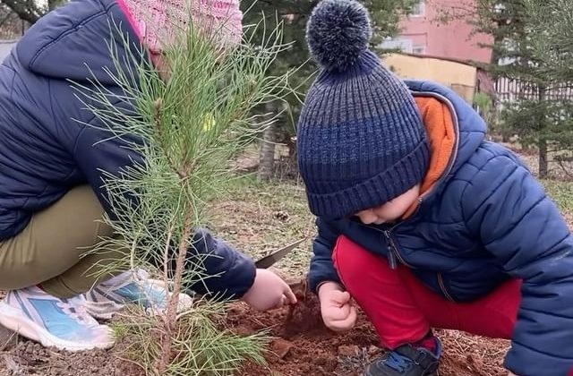 İstanbul Sancaktepe Belediyesi, doğaya 100 yeni fidan dikti