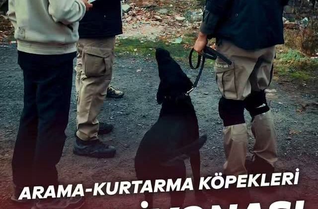 Uluslararası Arama Kurtarma Köpekleri Şampiyonası Çekmeköy’de Heyecanla Gerçekleşti