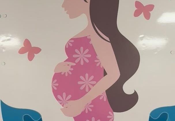 Gebe Okulu’ndan Gebelik Dönemi ve Doğum Süreci Eğitimi