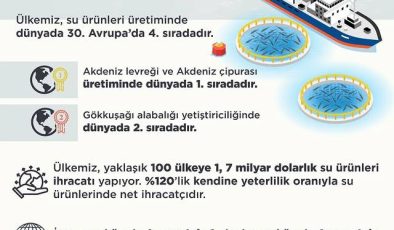 Türkiye, Su Ürünlerinde Net İhracatçı Konumunu Güçlendiriyor