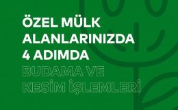 Özel Mülk Alanlarındaki Ağaç Budama ve Kesim Hizmetleri