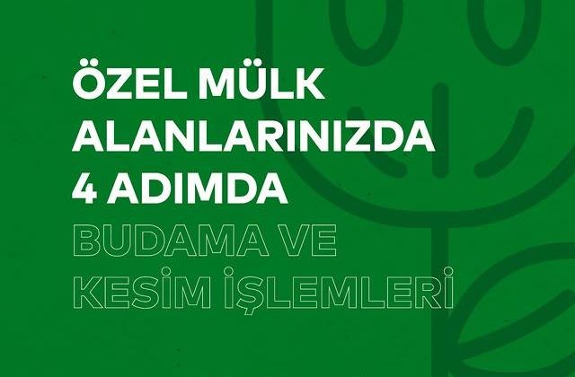 Özel Mülk Alanlarındaki Ağaç Budama ve Kesim Hizmetleri