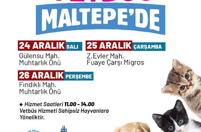 İBB, Maltepe’de Sokaktaki Hayvanlar İçin Vetbüs Etkinliği Düzenliyor