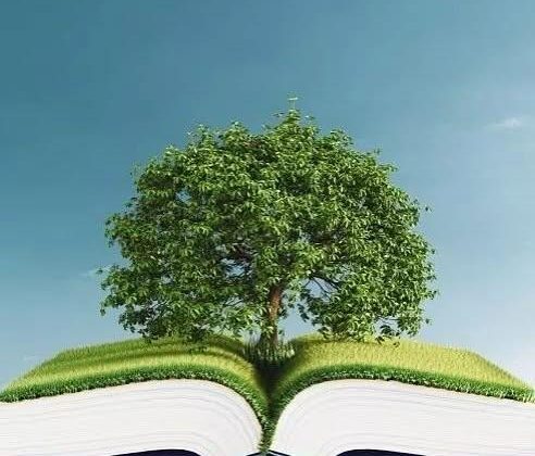 Yenilik ve Eğitim Teknolojileri Genel Müdürlüğü, BUSTIC EDU Projesi’ni Hayata Geçiriyor