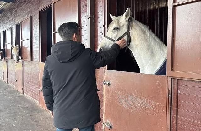 İstanbul Tuzla’da At İşletmesi Açıldı