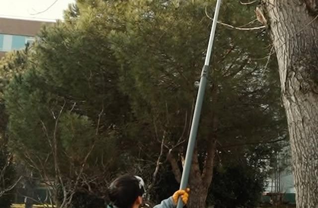 Ataşehir Belediyesi, Park ve Bahçelerde Budama Çalışmalarını Sürdürüyor