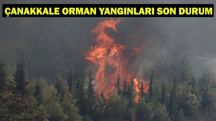 Çanakkale’deki Yangın 24 saat sürdü