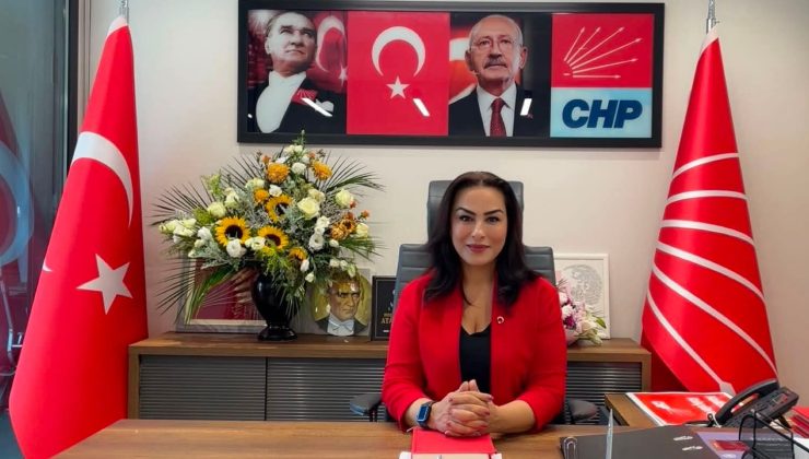 CHP İstanbul İl Kadın Kolları Başkanı Sevgi Düzgün: “Birlikte Başaracağız”