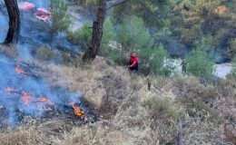 Pendik Belediyesi Ekipleri Balıkesir’deki Orman Yangınına Destek İçin Sahada