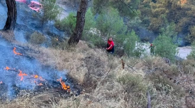 Pendik Belediyesi Ekipleri Balıkesir’deki Orman Yangınına Destek İçin Sahada